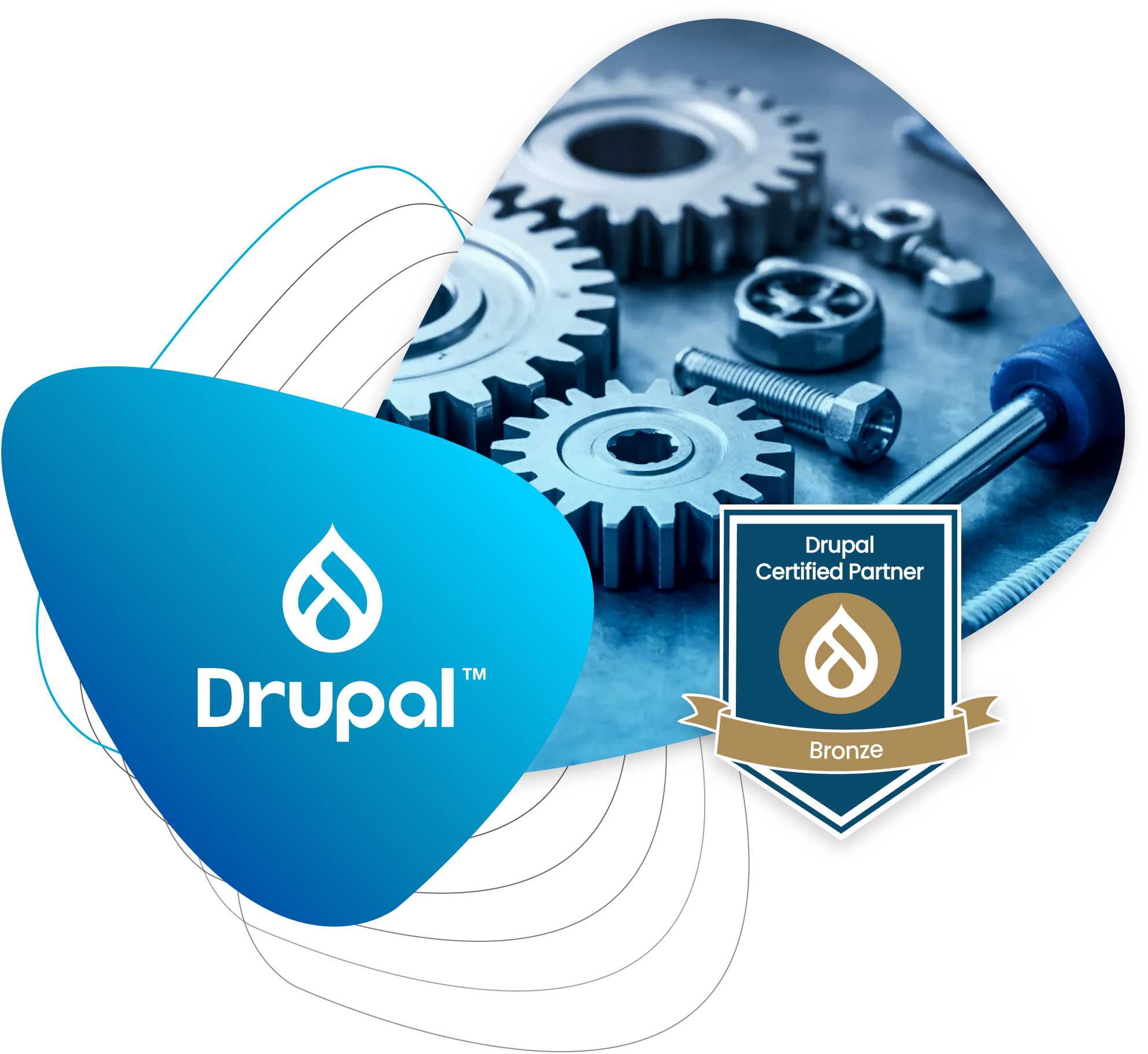 Drupal Updates und Support