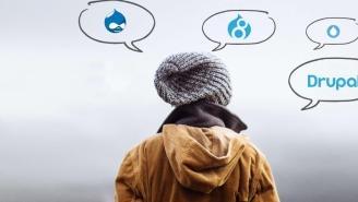 Vorschau Drupal Blogpost